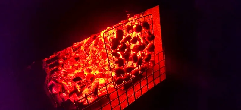 La Mithila Resort Pondicherry - BBQ charcoal grill